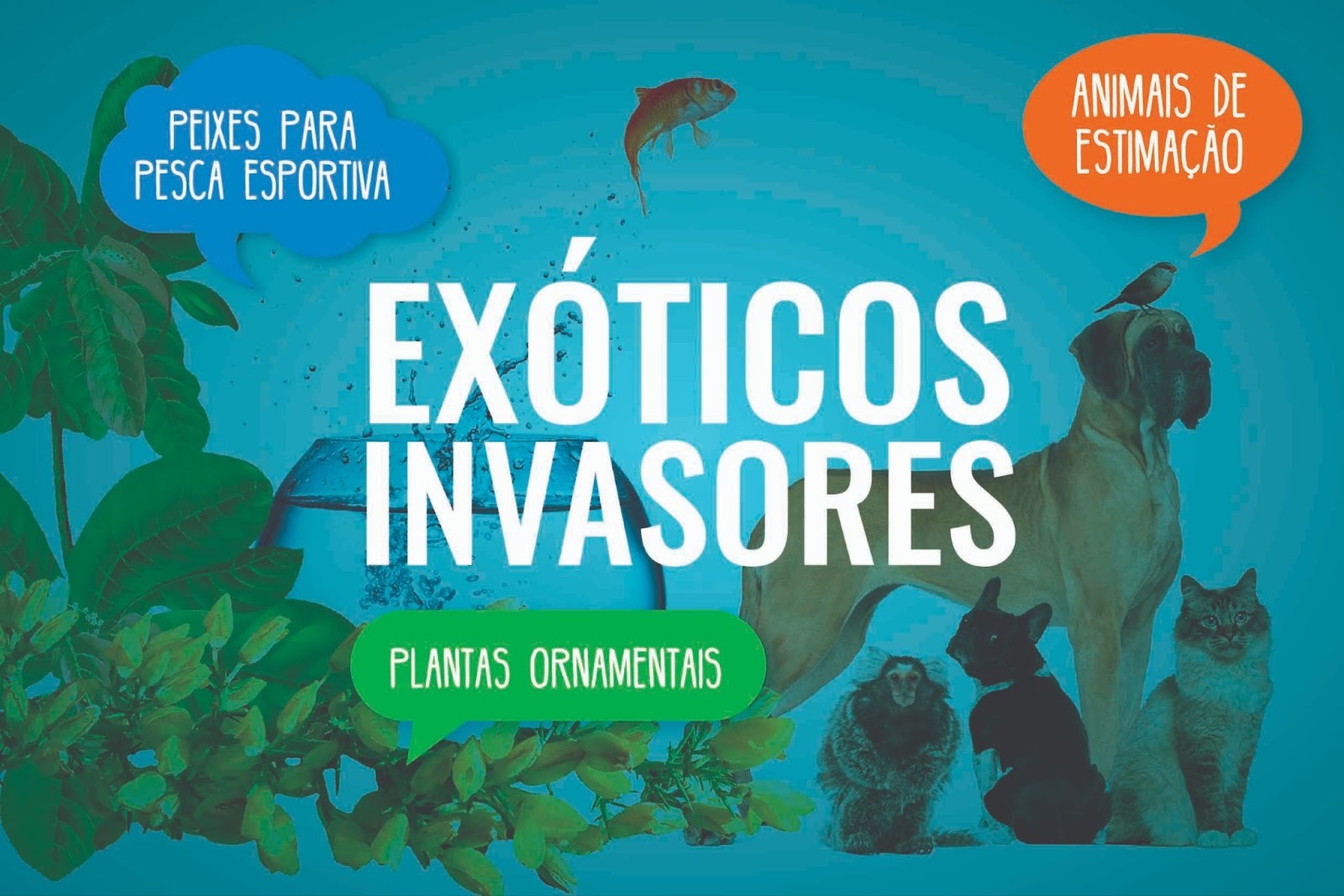 0 12.jpgcapaexoinvasores