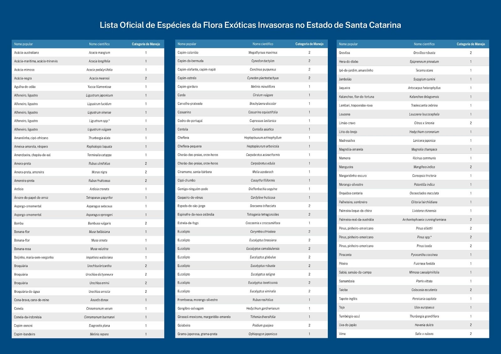 0 18.jpgexoticalista