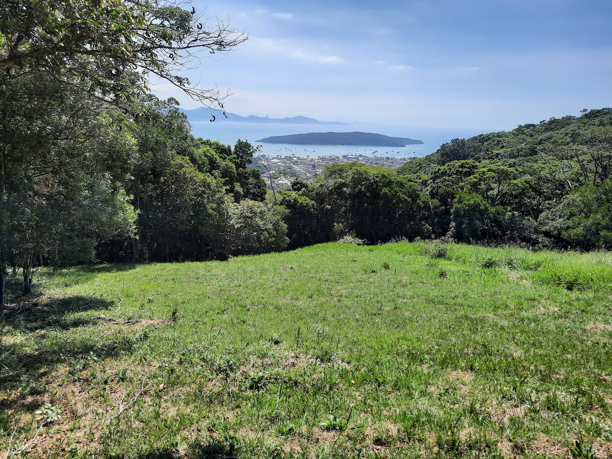 20240409 125148IMARRPN02rfp1234