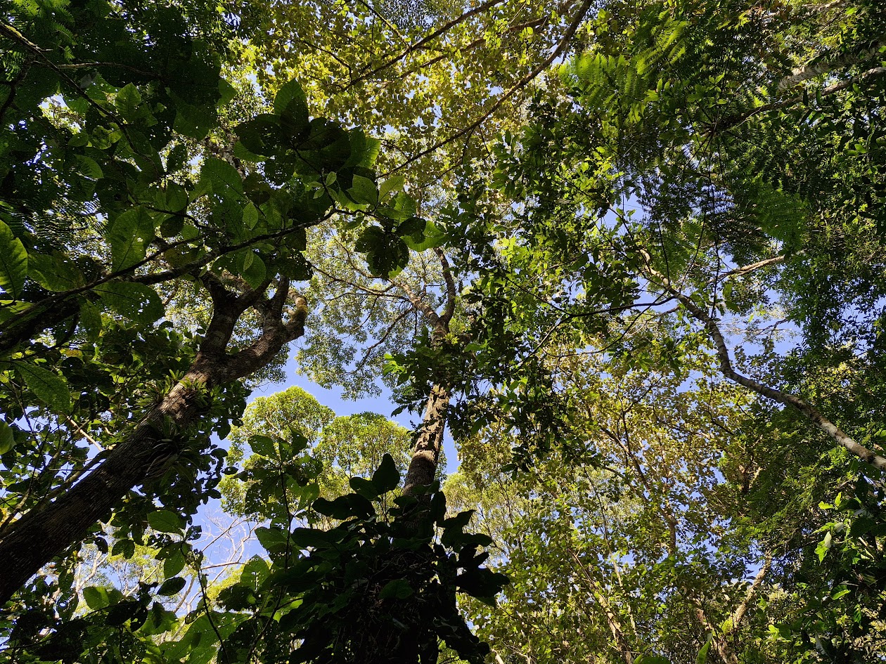 20250716 143323rppns