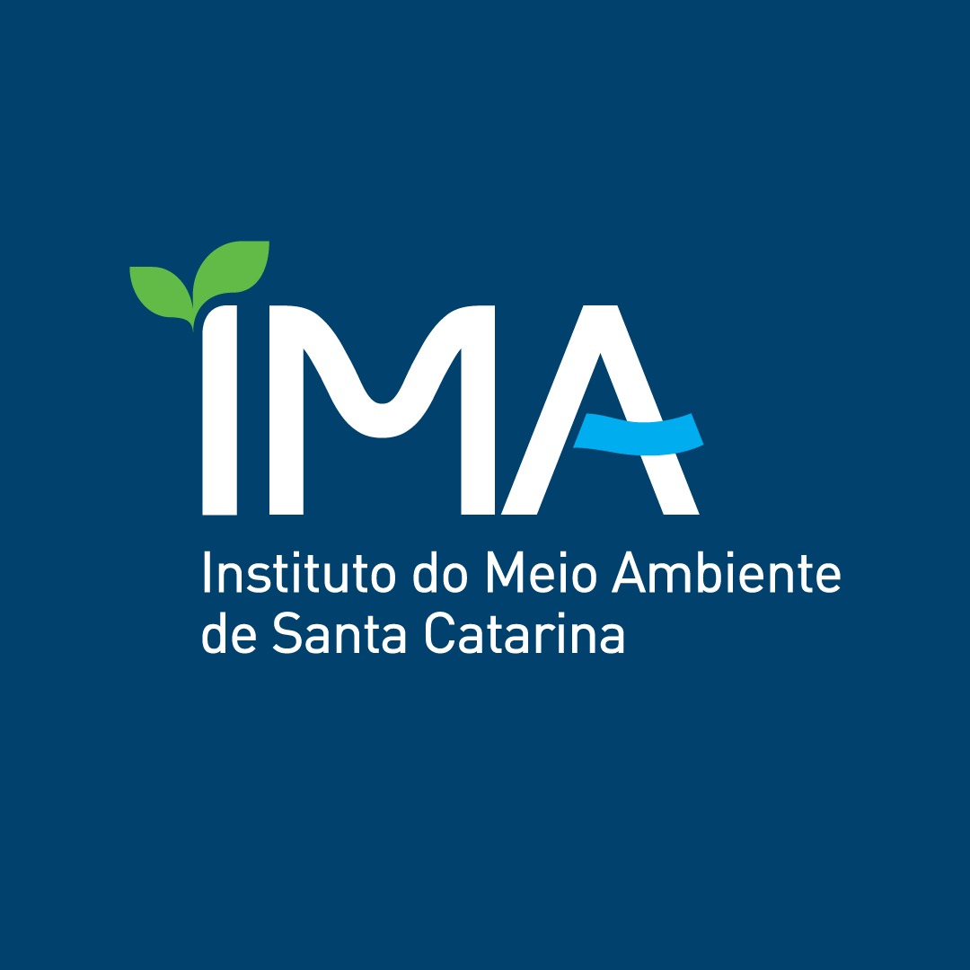 Logo IMA Azul
