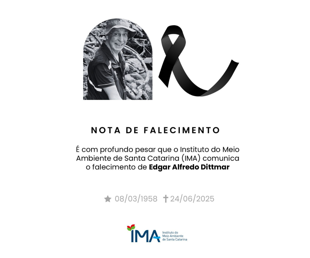 Design sem nomewww