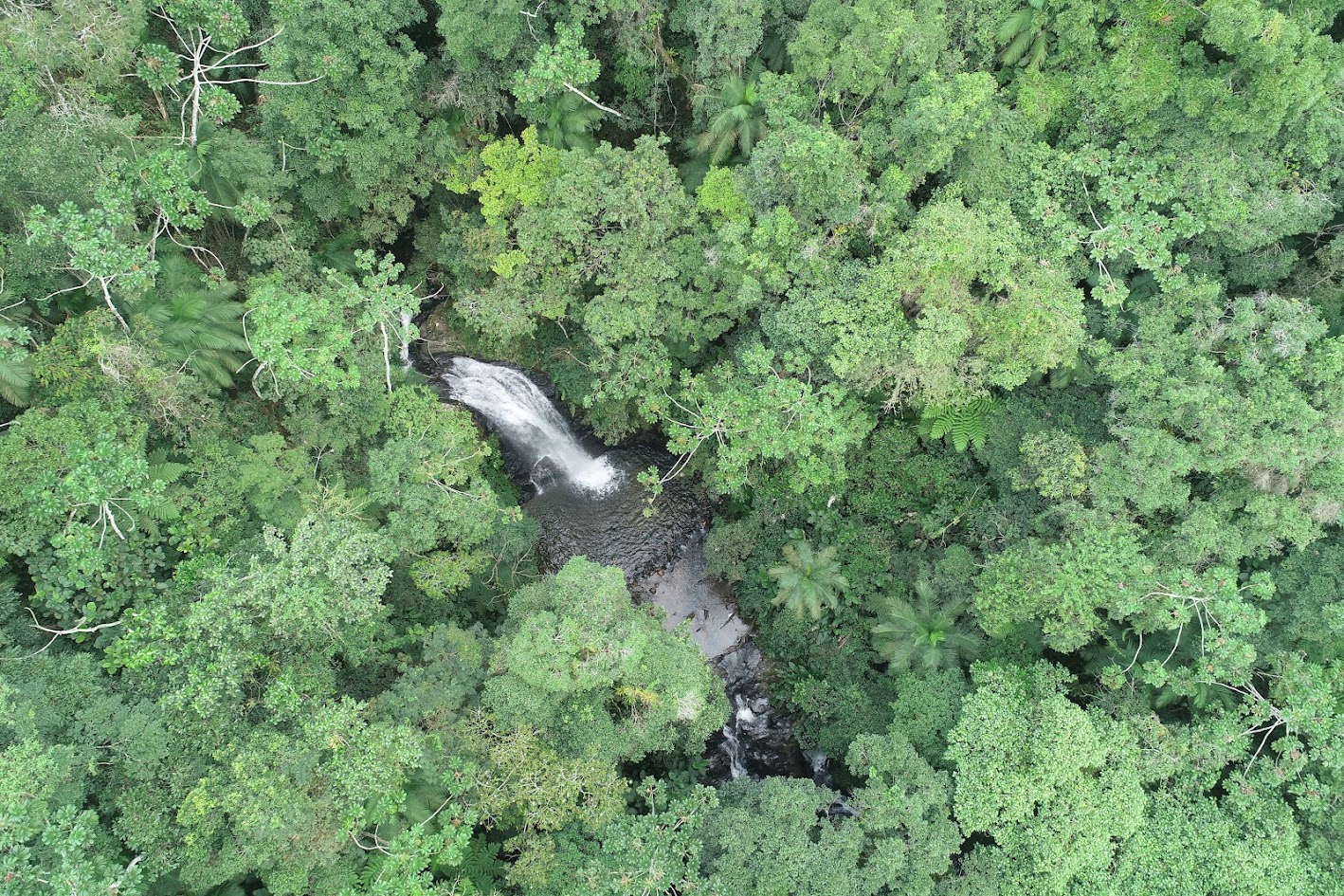 Foto Adrio Centeno IMA DJI 0355