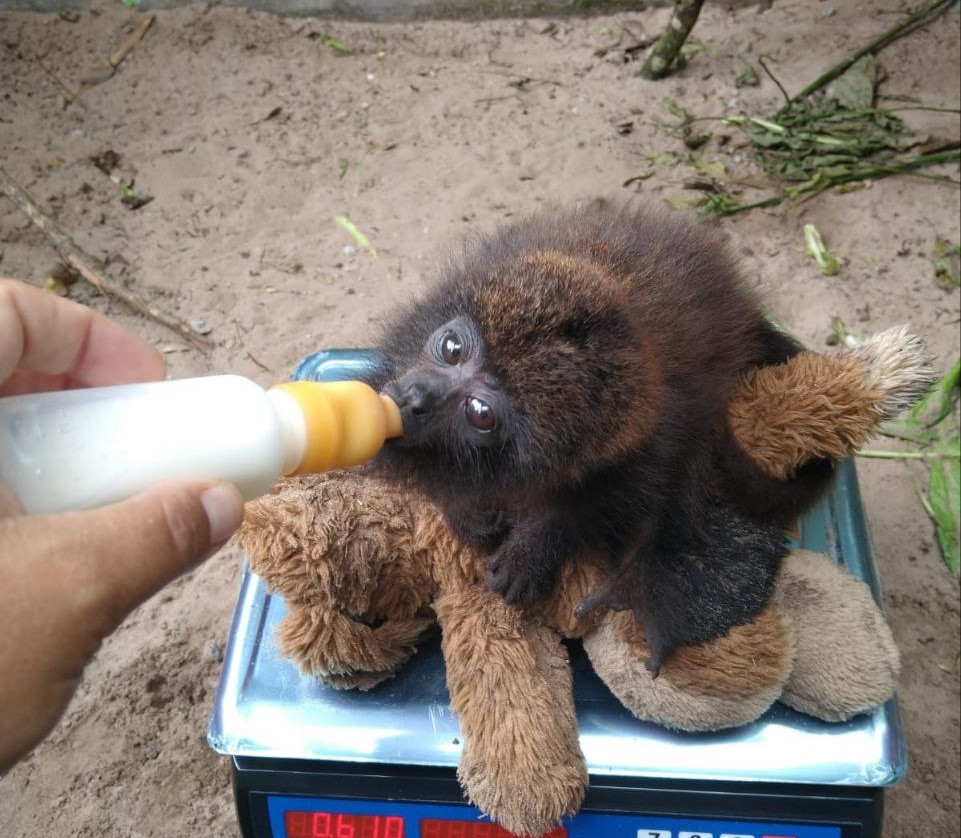 IMG 20240827 140029 419