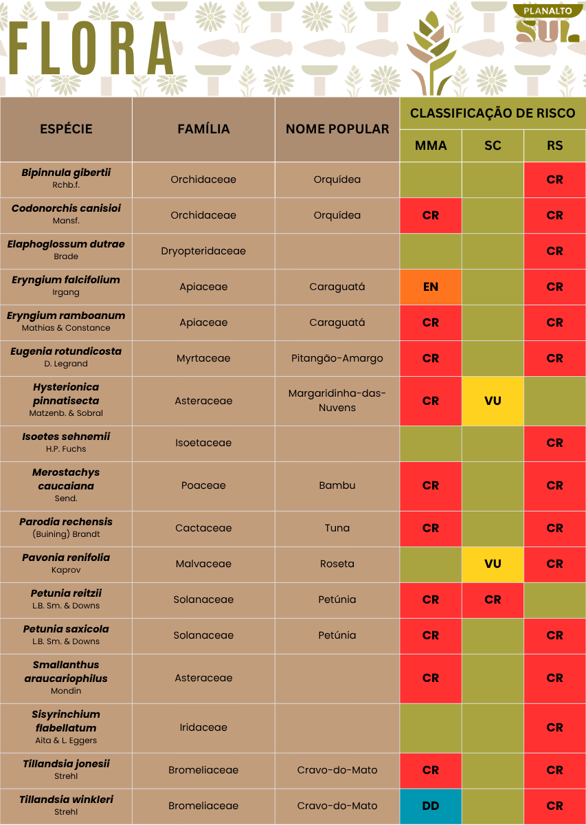 Site PAT PS Planilha Flora