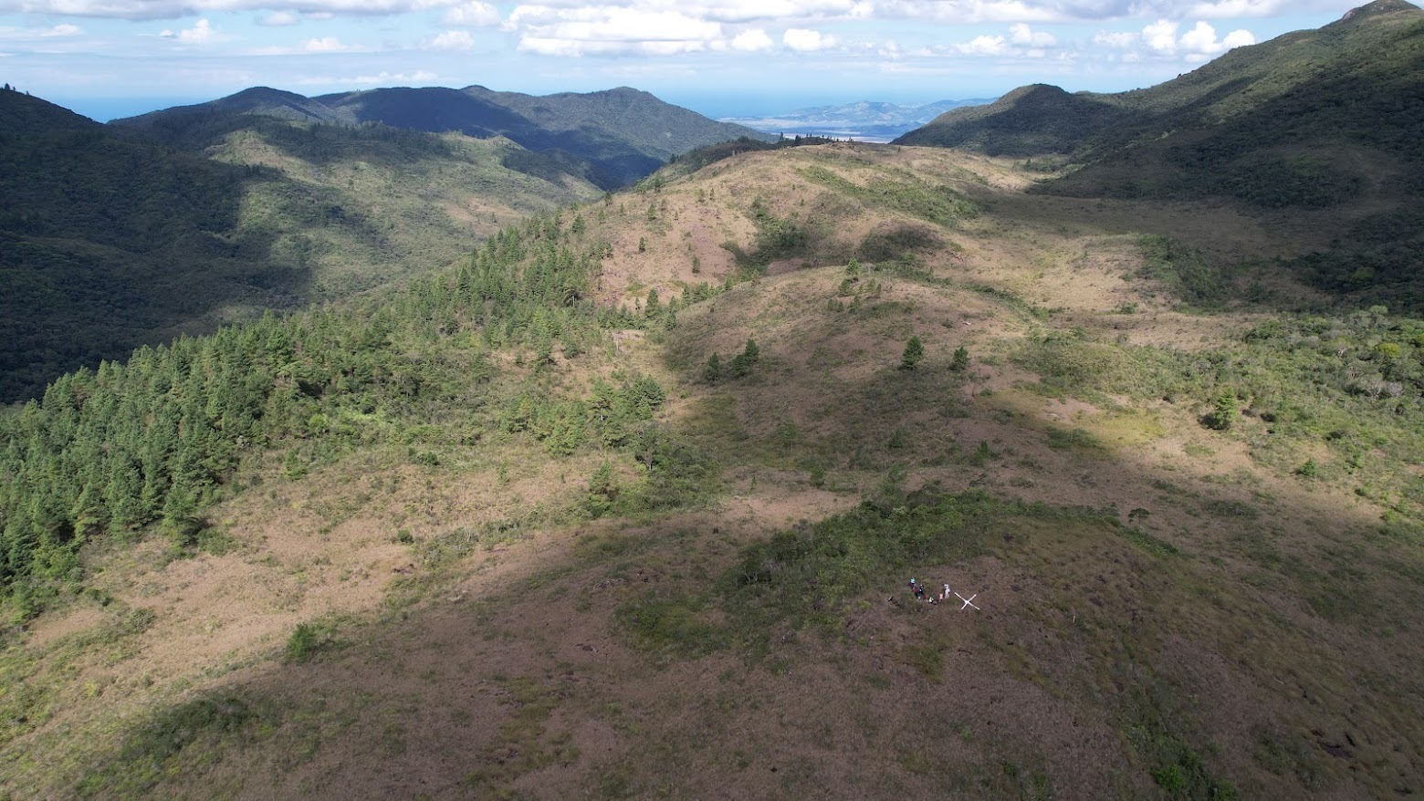 WhatsApp Image 2025 03 25 at 14.47.02 3