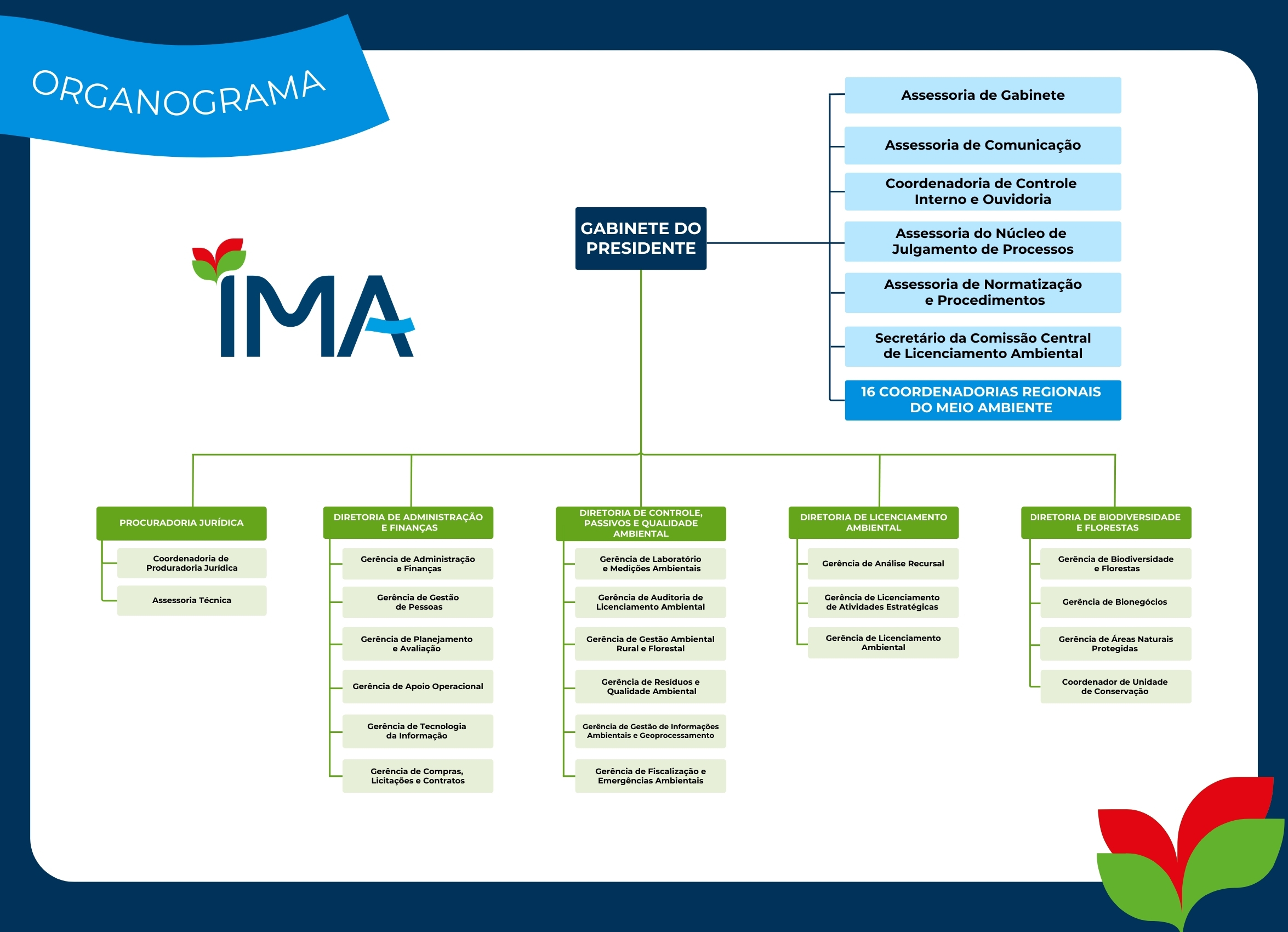 org oficial.jpg 2 jpg